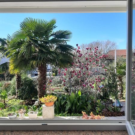 Apartments Summer Bloom Krk Town Extérieur photo