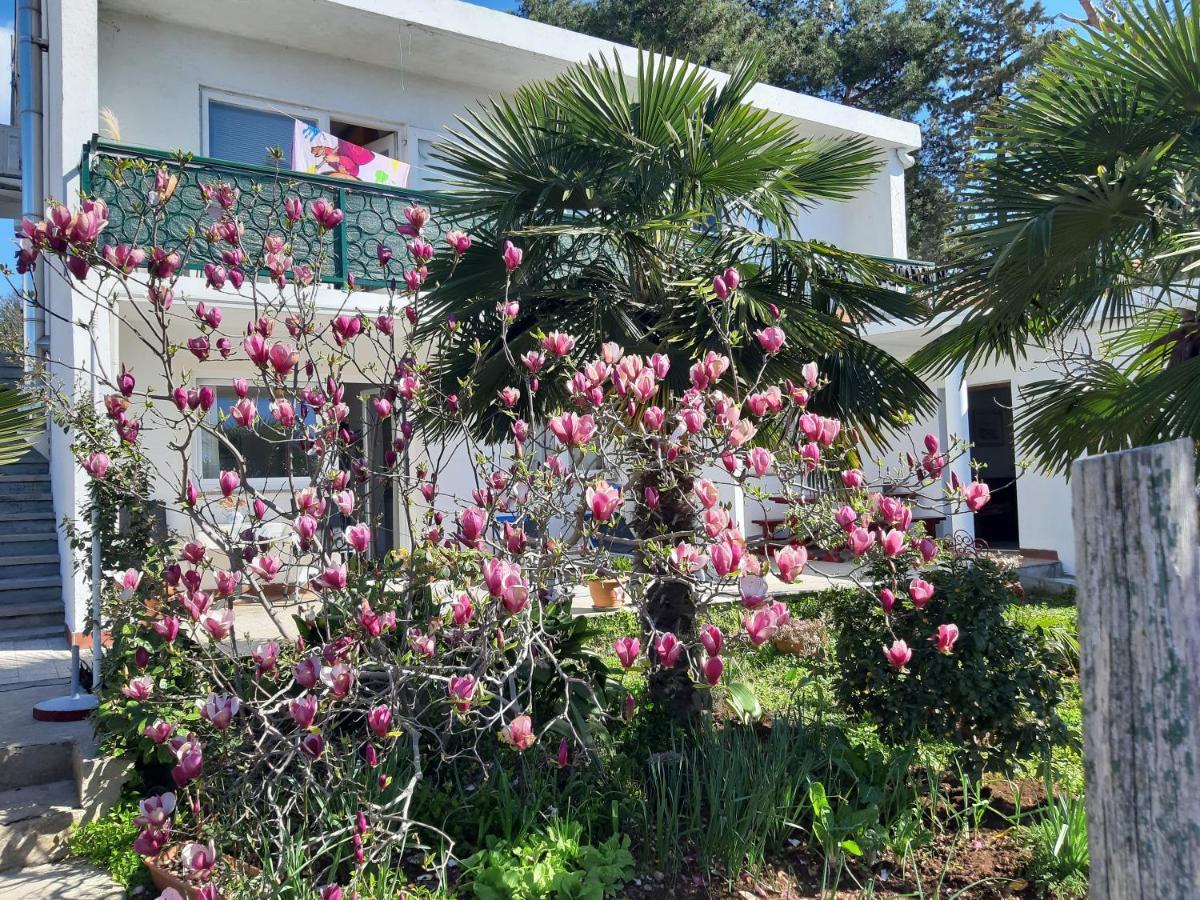 Apartments Summer Bloom Krk Town Extérieur photo